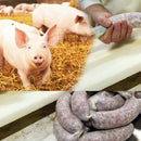 Mate de porc crete - Delumani - Magazin Online Romanesc 